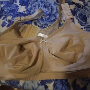 Cacique lane Bryant bra